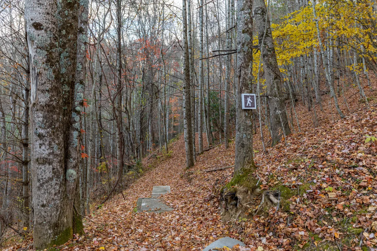 A serene trail scene with a stone pathway winding through tall trees, autumn leaves carpeting the ground, and a trail sign inviting exploration. The image evokes the peaceful yet adventurous spirit of nature walks and hiking right outside the home.